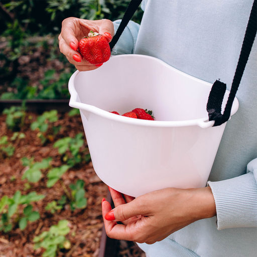 Цена за 2 шт. Ёмкость для сбора ягод, 3 л, белая