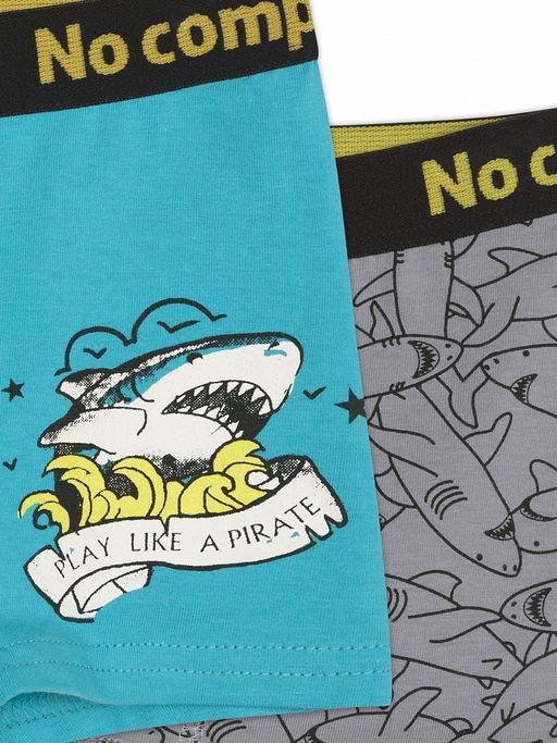 BUHB3289(2шт. в упаковке) трусы для мальчиков - Pelican фото 2