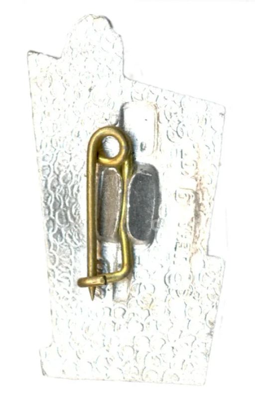 Значок Петродворец