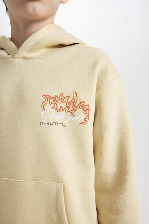 Бежевый плотный свитшот обычного кроя с капюшоном и принтом на спине для мальчиков - Defacto фото 5