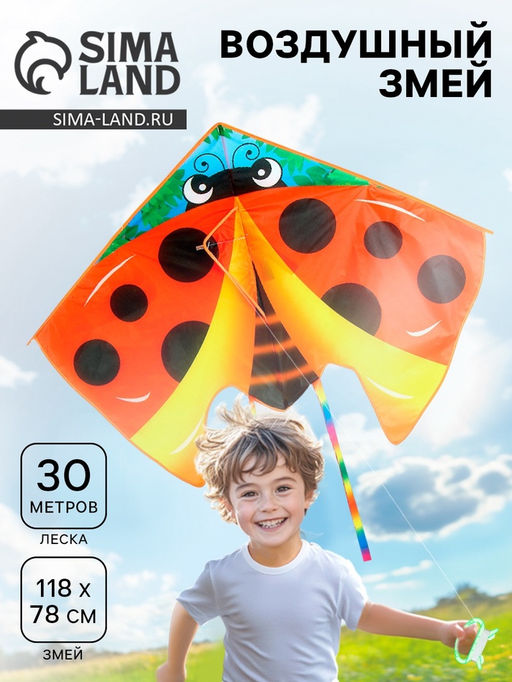Воздушный змей Божья коровка, с леской
