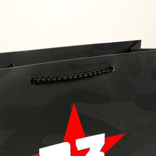 Пакет подарочный ламинированный, упаковка, С 23 февраля, M 26?30?9 см