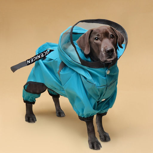 Комбинезон для собак, демисезонный с козырьком, размер 2ХL (ДС 45, Ог 62, ОШ 47 см), голубой 93812 - Simaland фото 15