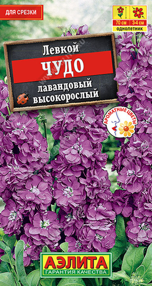 Левкой высокорослый Чудо лавандовый (2026)