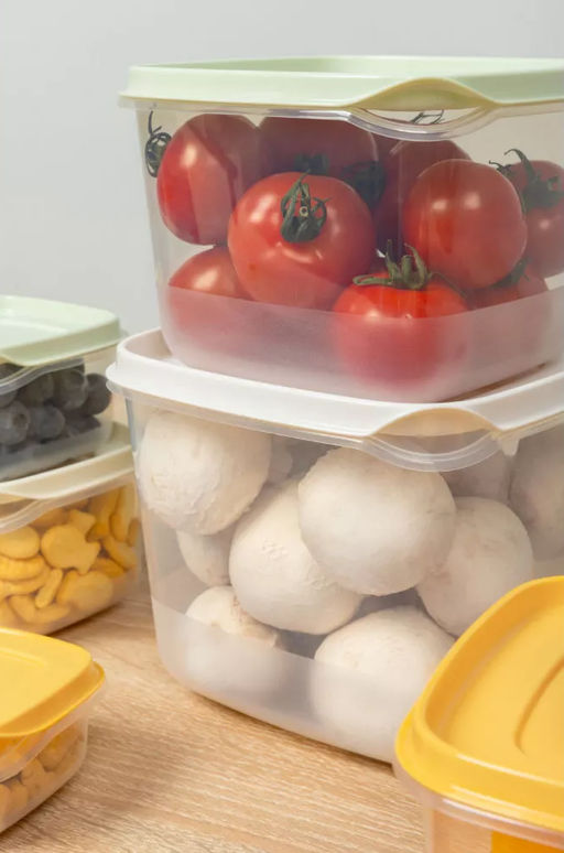 КОМПЛЕКТ КОНТЕЙНЕРОВ ДЛЯ ПРОДУКТОВ CLEVER 4ШТ, 0,25Л + 0,45Л + 0,75Л + 1,2Л (Микс 1)