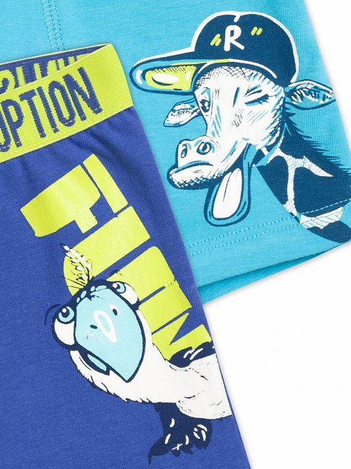 BUHB3224(2шт. в упаковке) трусы для мальчиков