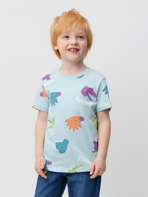 КР 302056/морозный шалфей,мир динозавров фуфайка (футболка) для мал