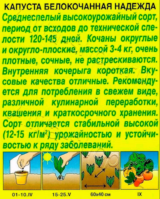 Капуста б/к Надежда 0,5г (Аэлита, серия Лидер)