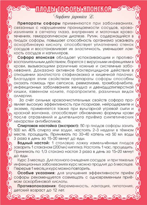 2 шт. Софора японская (плоды) - Мариславна фото 5