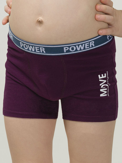 BUHB3304(2шт. в упаковке) трусы для мальчиков - Pelican фото 2