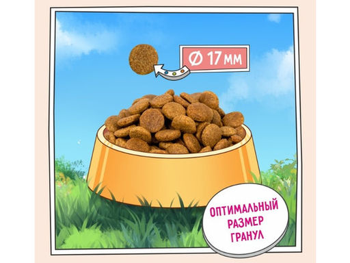 ZILLII Adult Dog Сухой корм для взрослых собак 800г Белая Рыба с Лососем