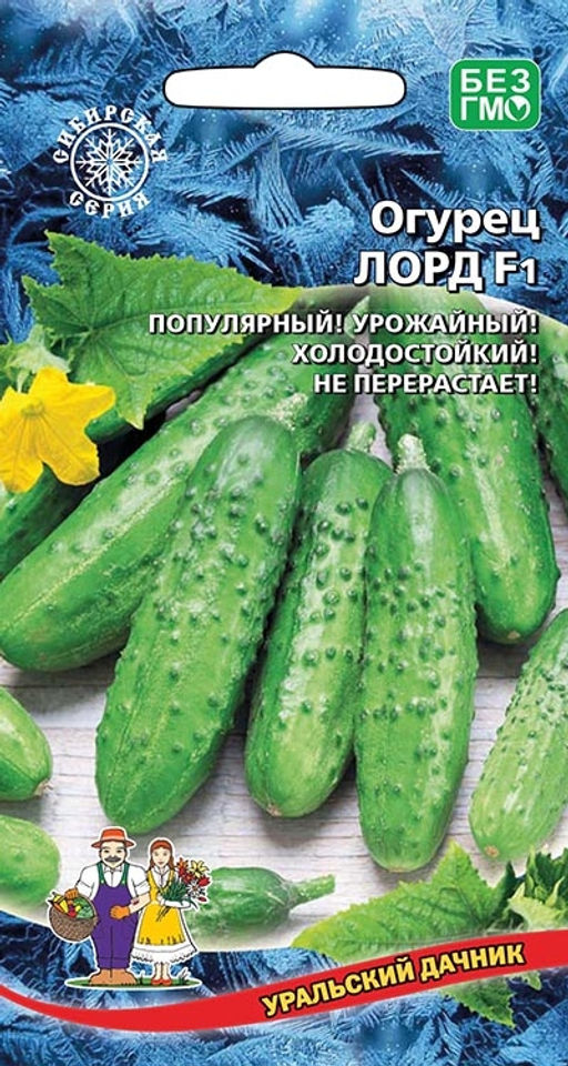 Огурец ЛОРД F1 Популярный! Урожайный! Холодостойкий и не перерастает!