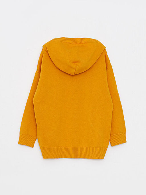 Kap??onlu Uzun Kollu Nak?? Detayl? Erkek Bebek Triko Kazak - Waikiki фото 2