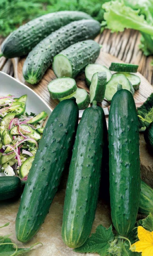 Огурец САЛАТНЫЙ СУПЕРРАННИЙ F1 Невероятно урожайный! Сладкий! Без горечи! Абсолютно неприхотливый!