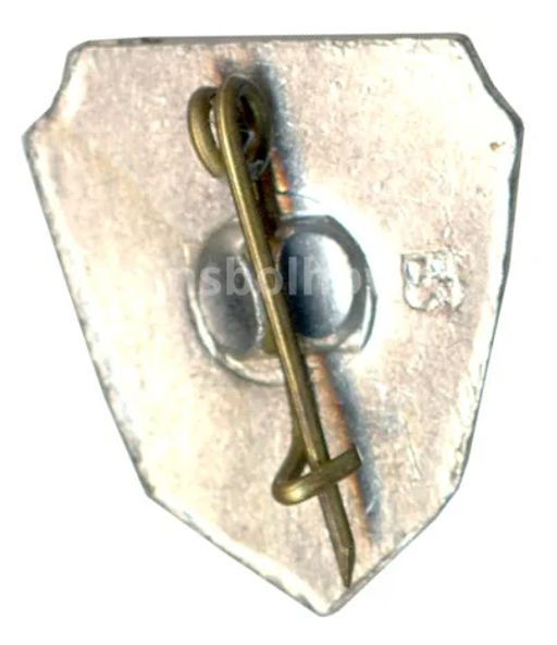 Значок Волгоград