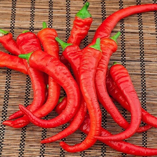 6268U Перец острый Бараний рог 5шт