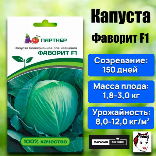 Капуста белокочанная среднепоздняя (для квашения) Фаворит - Партнер фото 8