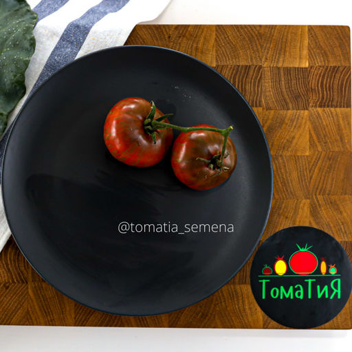 Гном Стринги - Tomatia фото 2