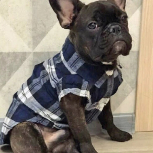 Кофта - рубашка фланелевая для мелких пород собак и кошек "BRO Style", цвет синий, р L