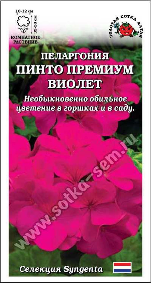 Пеларгония Пинто Премиум F1 Виолетт 3шт. (Золотая сотка Алтая)