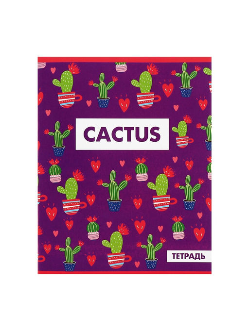 Комплект тетрадей из 5 шт Кактус, 48 листов, в клетку, обложка мелованный картон, блок офсет - Calligrata фото 10