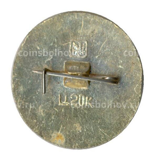 Значок Золотое кольцо  Кинешма