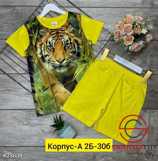 Костюм для мальчика с рисунком