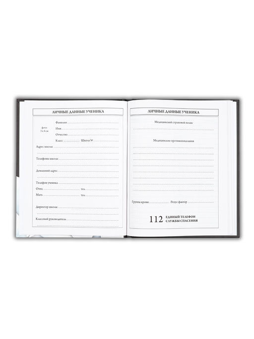 Дневник школьный для 5-11 класса, в твердой обложке, 48 л., Black