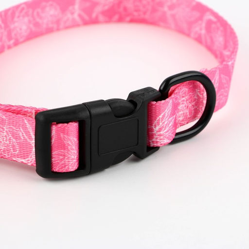 Ошейник My littlle princess, застёжка - фастекс, 2 см 25-40 см - Пушистое счастье фото 5