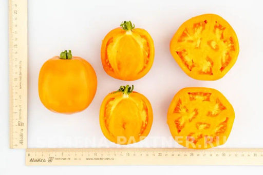 Томат Тропиканка - Партнер фото 6