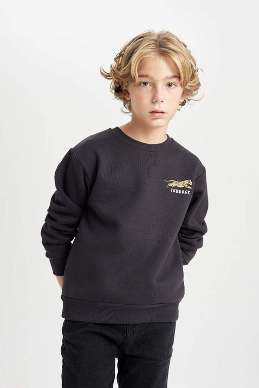 Толстый свитшот с принтом для мальчиков с круглым вырезом - Defacto фото 4