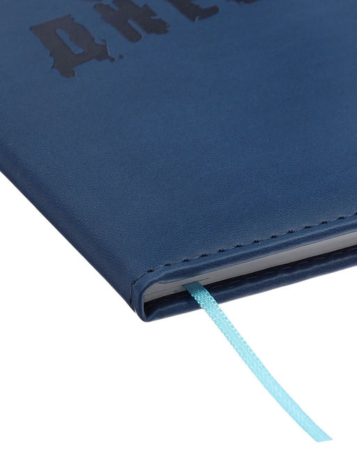 Дневник школьный «Рыцарь» 1-11 класс, ляссе, обложка искусственная кожа, синий