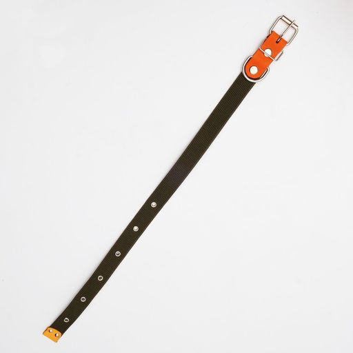 Ошейник брезентовый однослойный, 66 х 3 см, ОШ 33-60 см, тёмно-зелёный - Пижон фото 4