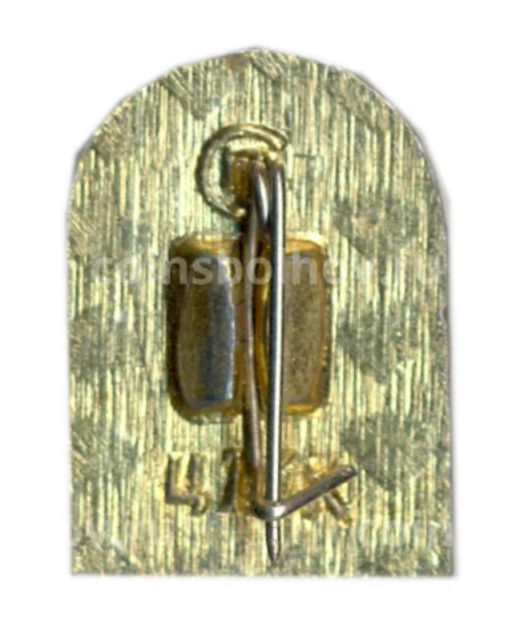 Значок Горький