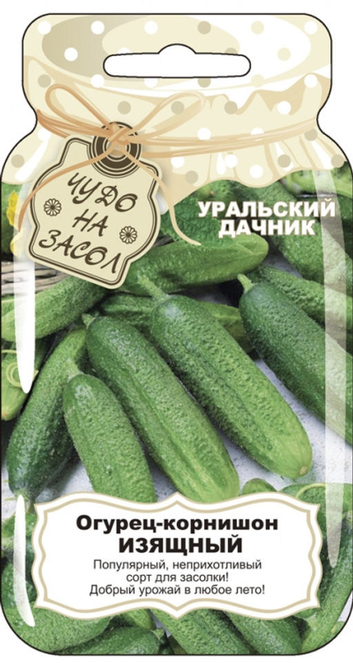 Огурец ИЗЯЩНЫЙ Необычайно красивые, словно с картинки, ровные, тёмно-зелёные огурчики! Неприхотливый, замечательно растёт в открытом грунте! - Уральский дачник фото 3