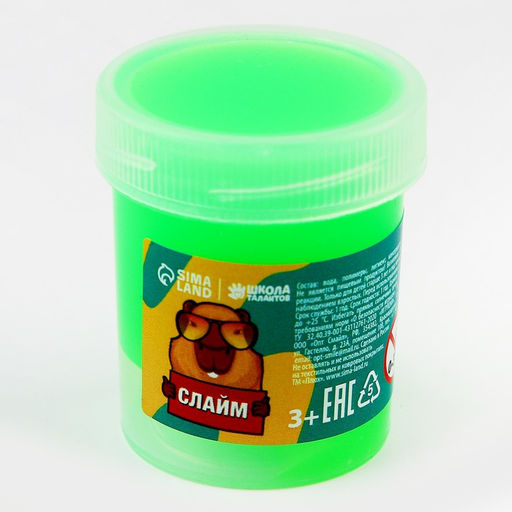 Слайм Капибара, зеленый - Школа талантов фото 2