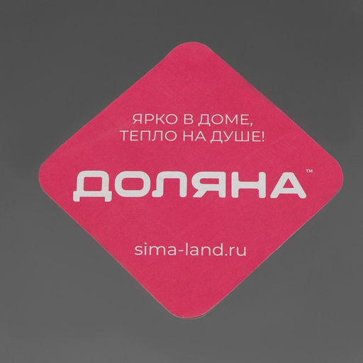 Поднос овальный из нержавеющей стали Доляна, 30×20 см, серебристый