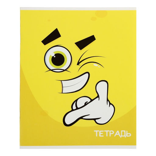 Комплект тетрадей из 10 штук (5 видов по 2 штуки), 48 листов в клетку Calligrata Смайлики, обложка мелованный картон, блок офсет фото 4