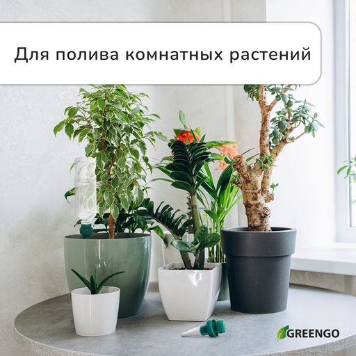 Автополив для комнатных растений под бутылку, h=10.5 см, набор 2 шт., Greengo  фото 2