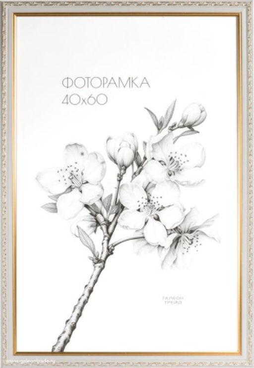 Фоторамка 40х60 /10103-6 (R143-015V)/,ф