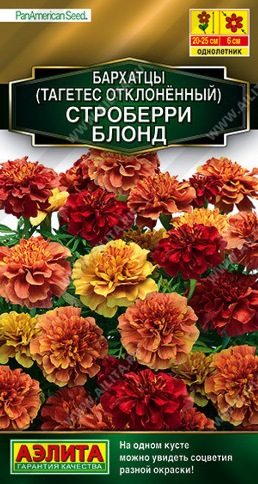 1278A Бархатцы Строберри блонд отклоненные 5шт