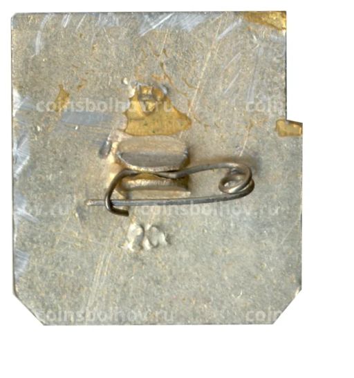 Значок Владимир