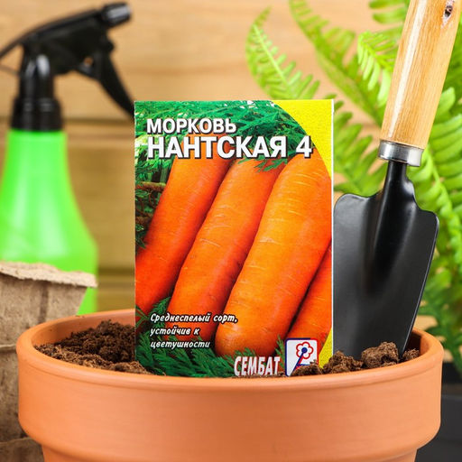 Цена за 5 шт. Семена Морковь "Нантская 4", 1 г