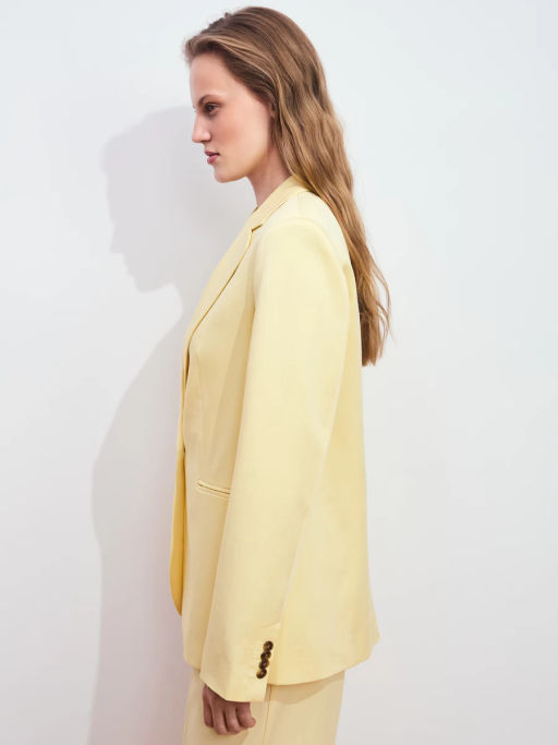 Однобортный жакет из тенселя ZR2605022506-9 / Zarina