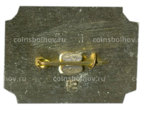 Значок Санкт-Петербург дворец-музей А.Д.Меншикова