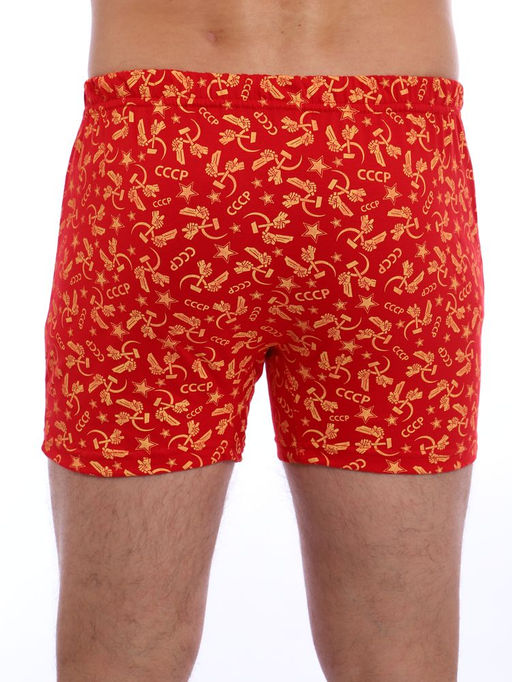 Трусы-боксеры, модель 212, трикотаж (46 размер, Ностальжи)