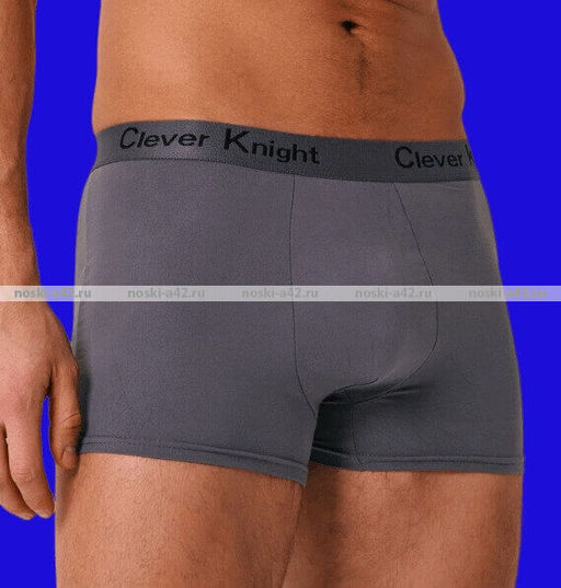 Цена за 2 шт. 2 ШТУКИ - Трусы мужские боксеры JUJUBE (Корсюги, СЛАВА) арт. 251, 2006, 3001