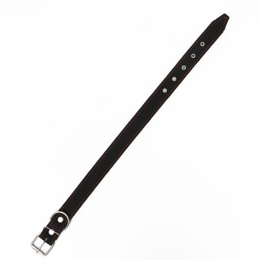 Ошейник комбинированный кожа/брезент, 69 х 3,5 см, ОШ 45-60 см, чёрный - Пижон фото 3