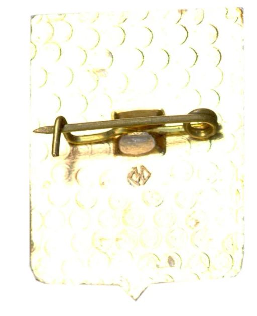 Значок Владимир