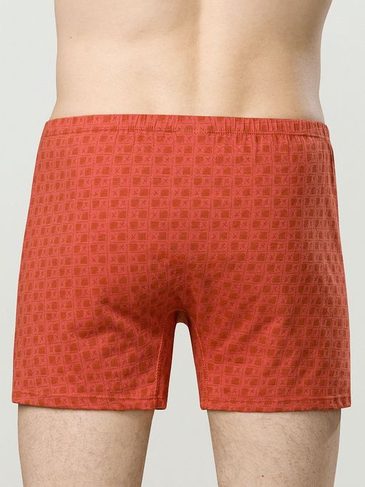 Pelican мужские свободные трусы-боксеры  фото 2